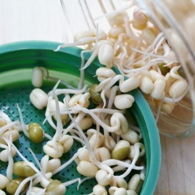 How to Sprout in a Mason Jar