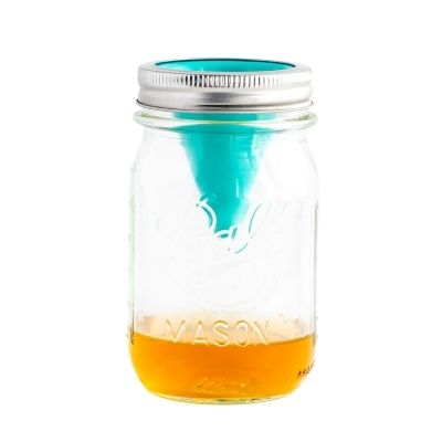 FREE Fruit Fly Funnel